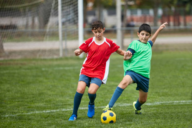 案例分析 案例分析